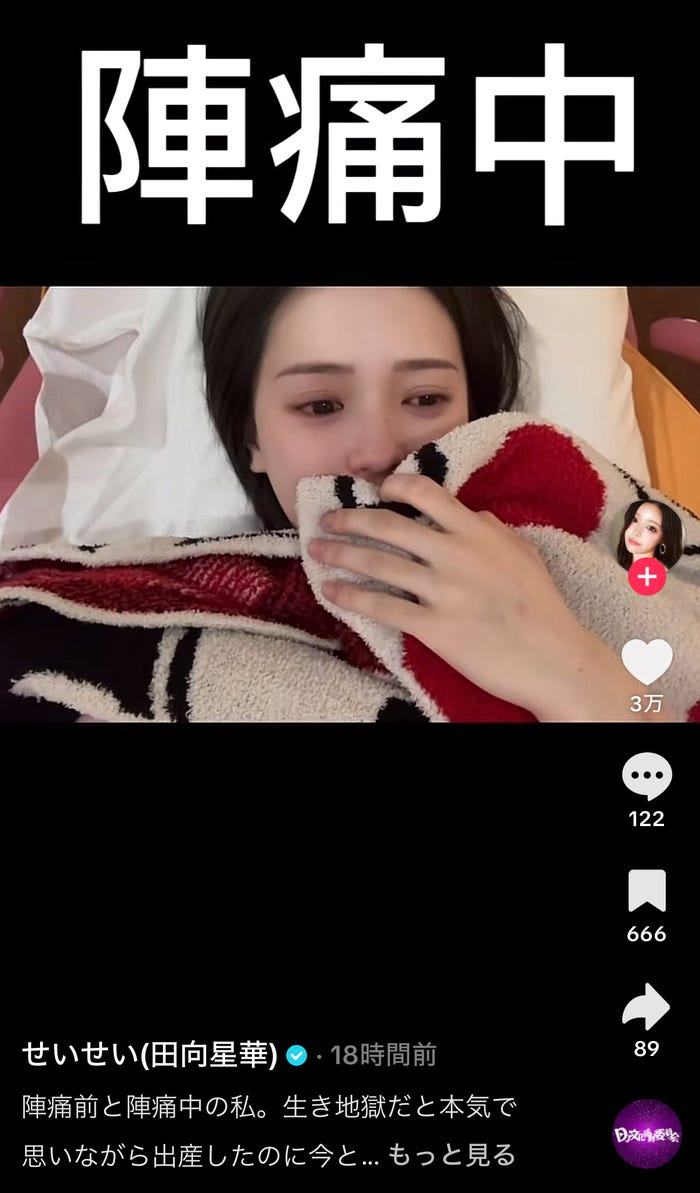 せいせいTikTokより