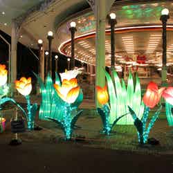 2016年実写/画像提供:豊島園