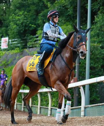 【アイビスSD】ピューロマジック 連覇をデータも後押し リピーター好走＆牝馬6連勝中