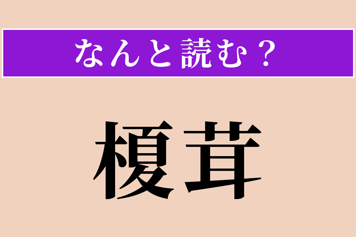 【難読漢字】「榎茸」正しい読み方は？ 鍋に欠かせません！