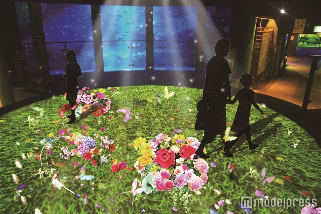 「FLOWING FLOWERS」／画像提供：横浜八景島