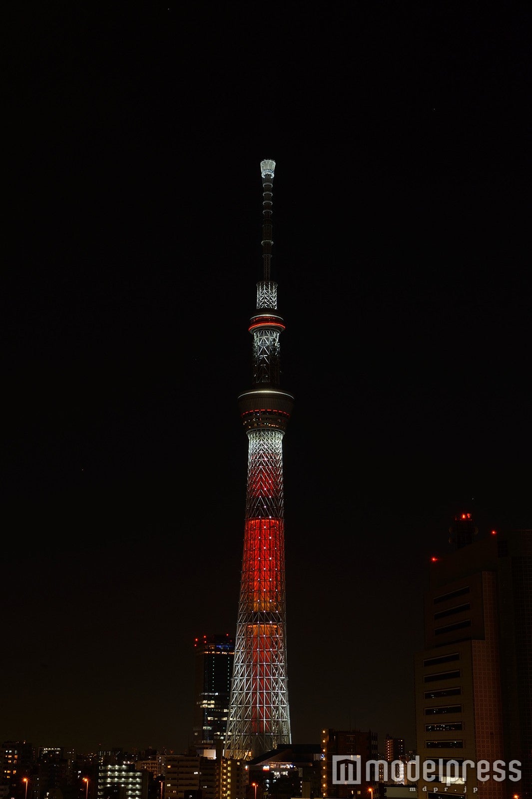 キャンドルツリー（C）TOKYO-SKYTREE