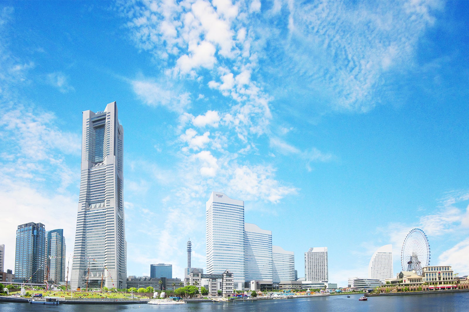 クルーズの発着は横浜の港から（提供画像）