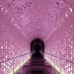 W大阪/提供画像