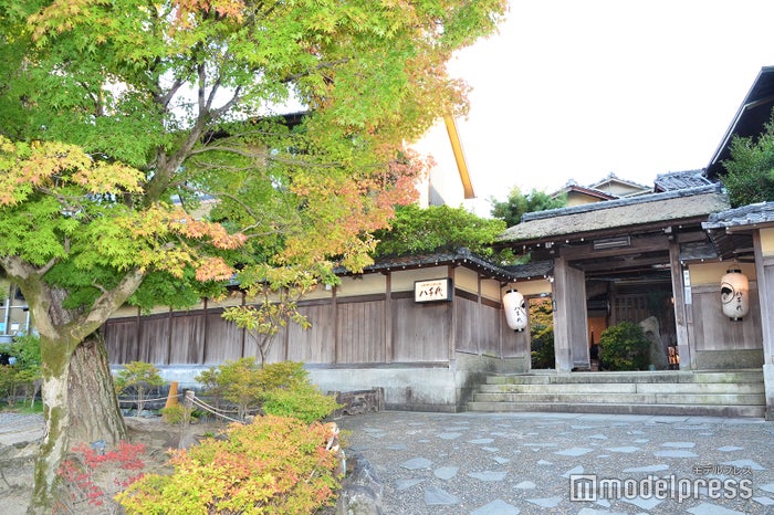 京都「南禅寺 八千代」（C）ビューティーガール