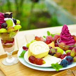 注文必至!季節のフルーツパフェ&プレート(C)モデルプレス