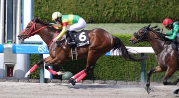 【バイオレットS】エコロレーヴ オープン初星 団野「しっかり反応してくれました」