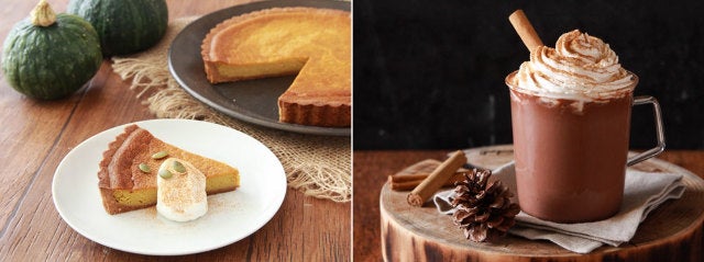 column_d0c779acb5676ad32af077163687cebe.