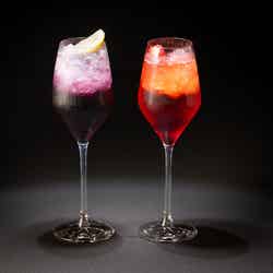 EN-CHANTED BITE(提供写真)