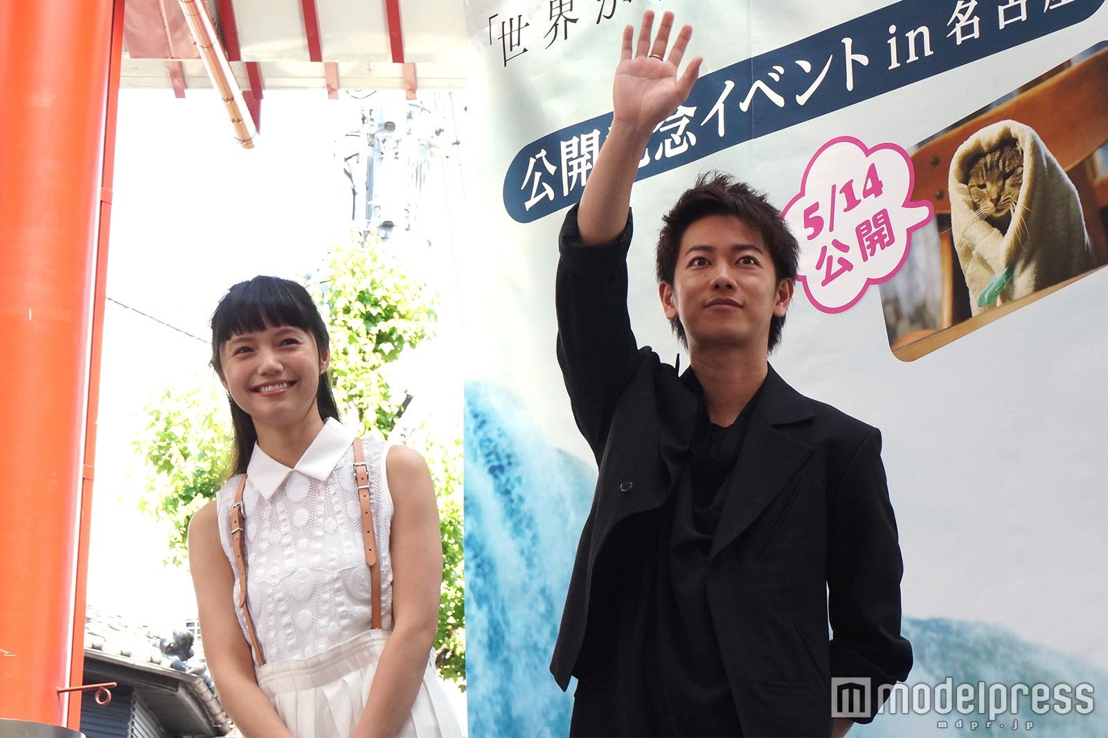 宮崎あおい・佐藤健（C）2016 映画『世界から猫が消えたなら』製作委員会