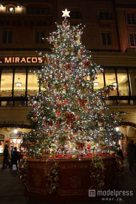 メディテレーニアンハーバーのツリー(夜)