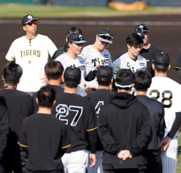 阪神・坂本 WBC日本代表辞退の石井に言及「大智の気持ちは誰にもわからない」「一緒に出たかった」