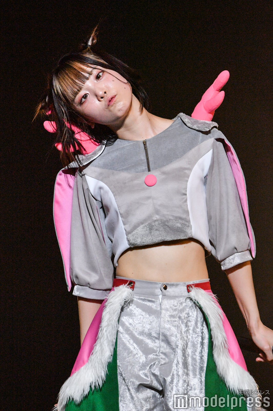 豆柴の大群（C）モデルプレス