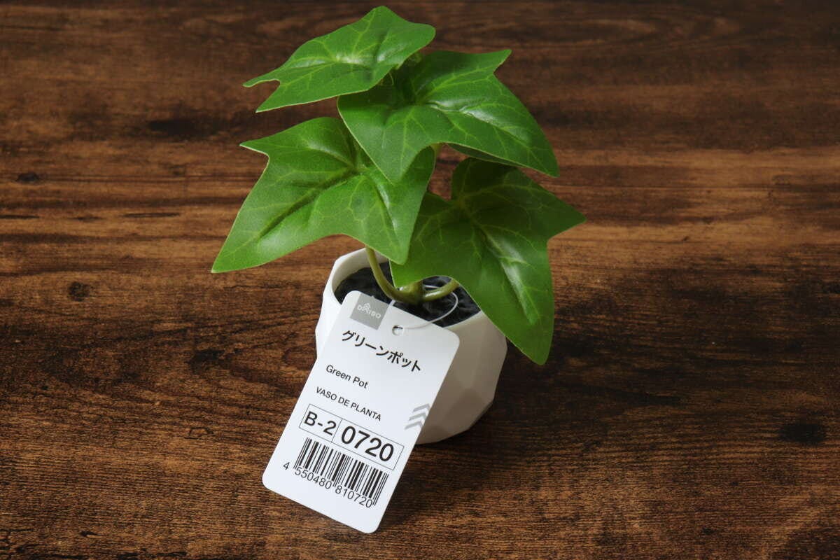 ダイソー　グリーンポット