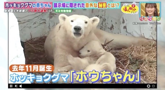 カワイイ姿がSNSで話題に…！人気の動物園・水族館のウラ側