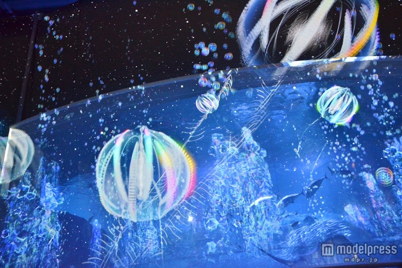 ストーリー仕立ての「深海世界のオアシス」