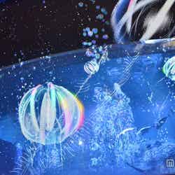 ストーリー仕立ての「深海世界のオアシス」