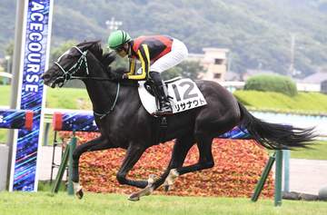 パシアンジェンヌはエーデルワイス賞を視野に リサナウトはサフラン賞へ