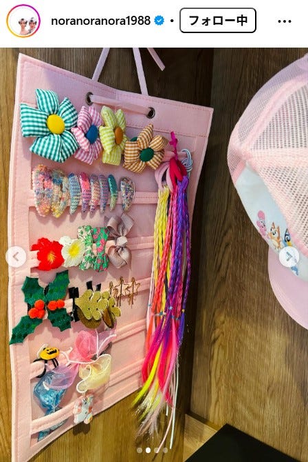 平野ノラInstagramより
