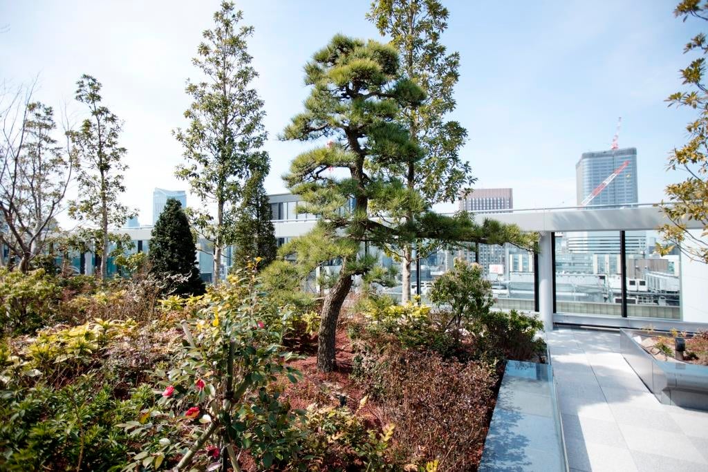 植栽が空間全体を彩り、都会にいながら自然を感じられる（C）モデルプレス