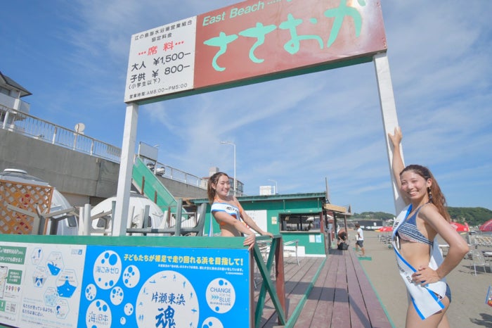 江ノ島 水着 コレクション 屋