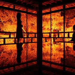 青林寺/画像提供:和倉温泉観光協会