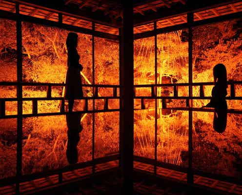 和倉温泉青林寺でライトアップ、夜の寺で幻想的なティータイム体験