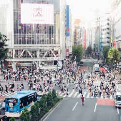 渋谷スクランブル交差点／Shibuya Crossing by Dick Thomas Johnson