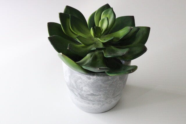 セリアのストーン風プランターBにフェイクグリーンを挿す