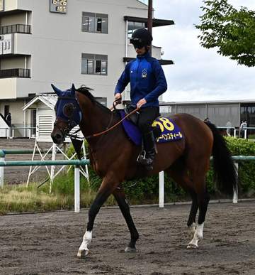 【安田記念】レーベンスティール 悲願のG1制覇へ 相性良い府中に山崎助手も期待「距離というより東京コースがいい」