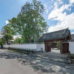 紫翠 ラグジュアリーコレクションホテル 奈良/提供画像