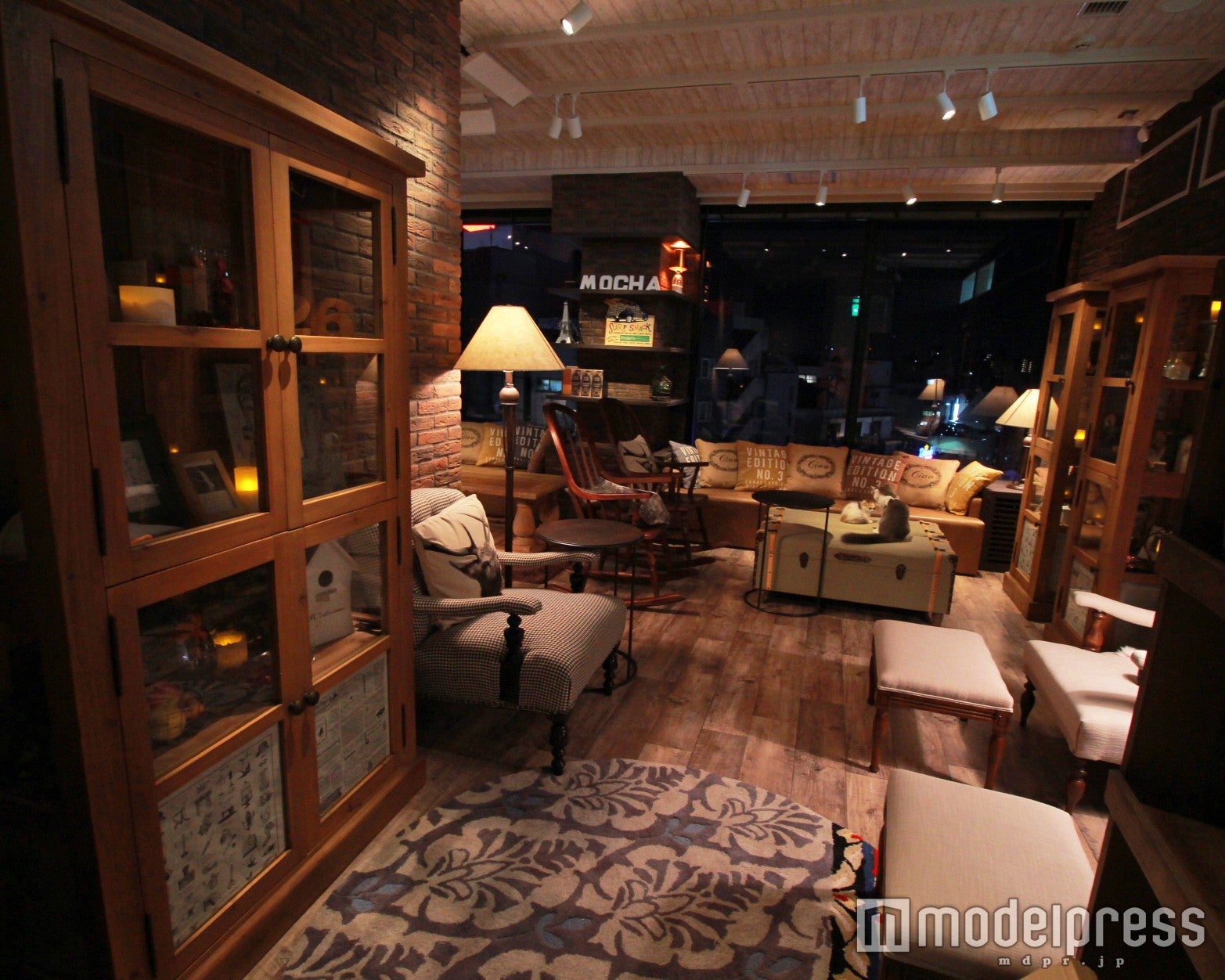 猫カフェMoCHA渋谷店店内／画像提供：モカ