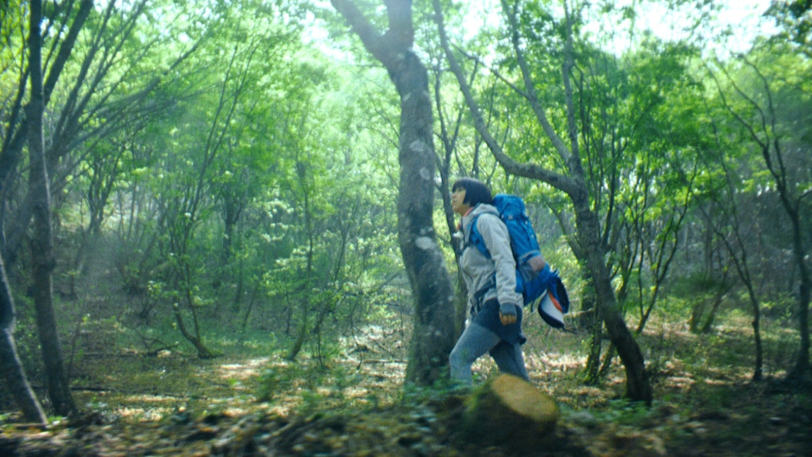 宇多田ヒカル出演「水の山行ってきた 奥大山」篇より（提供写真）