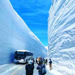 富山県の春の絶景ポイントとして世界的にも有名な「雪の大谷」／画像提供：富山県首都圏本部