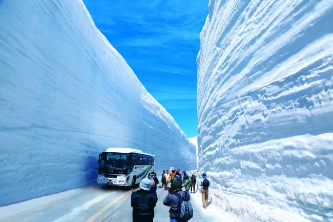 富山県の春の絶景ポイントとして世界的にも有名な「雪の大谷」／画像提供：富山県首都圏本部