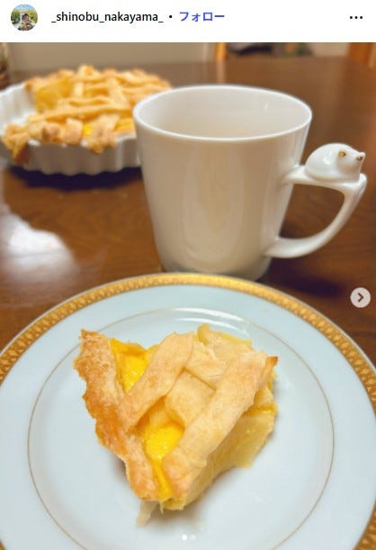 中山忍Instagramより