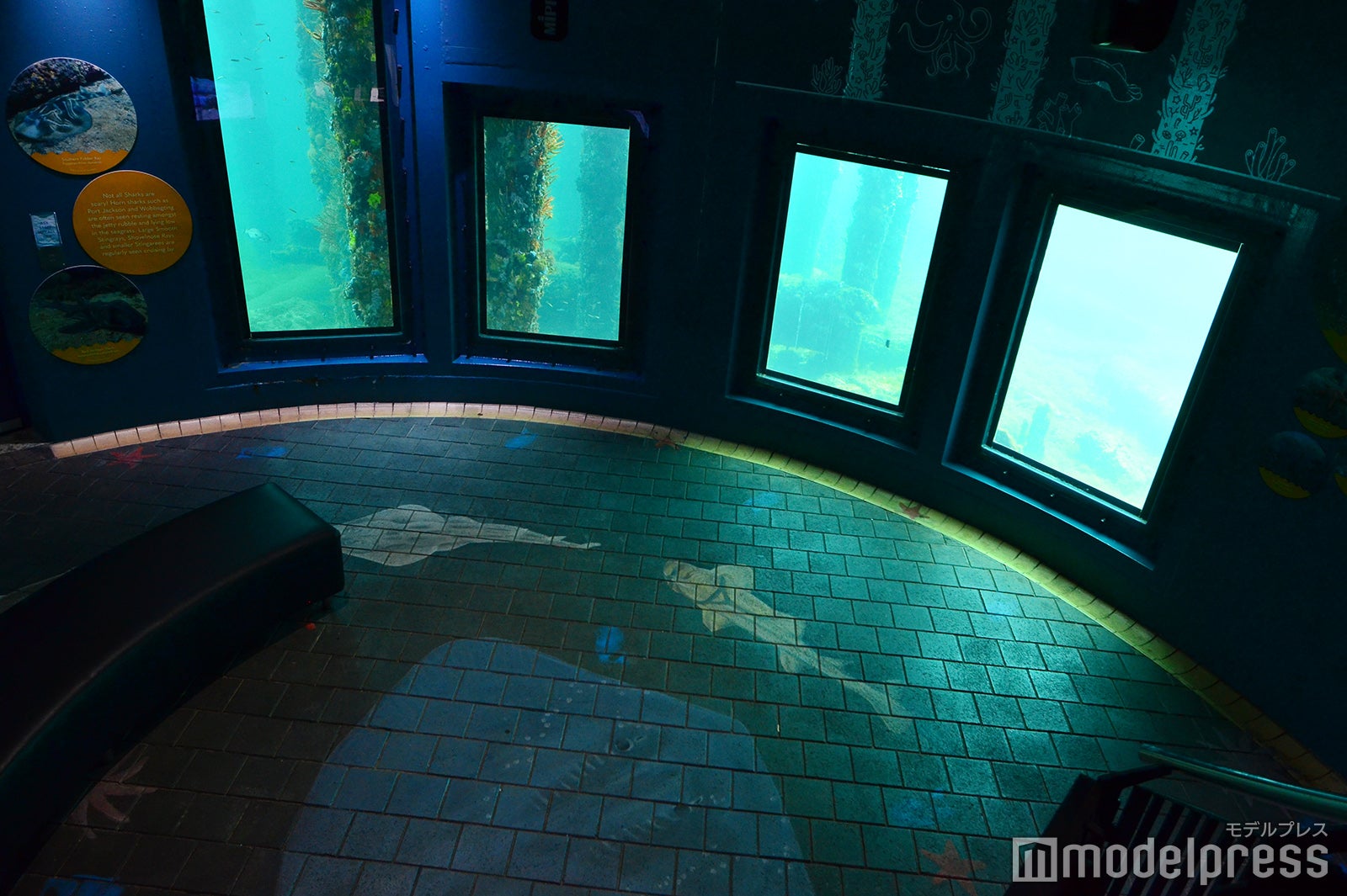 バッセルトン桟橋（C）モデルプレス