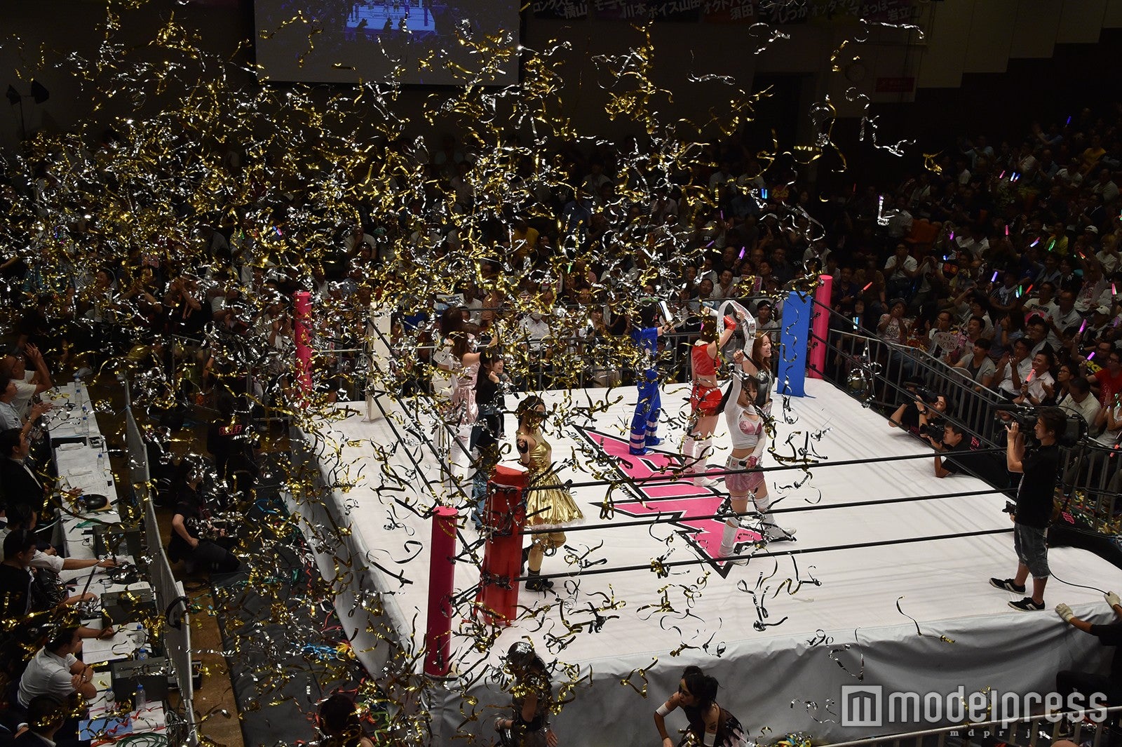 豆腐プロレス The REAL 2017 WIP CLIMAX（C）モデルプレス