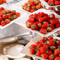 いちごジャーニー/画像提供:東急ホテルズ