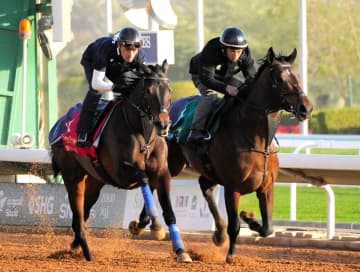 【サウジC】ルクソールカフェが最終追い切り 「指示通りに出来た。いい状態。期待しています」