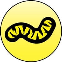 柏と千葉の名物プレシーズン大会 ちばぎんカップ 今年の中止を発表 モデルプレス