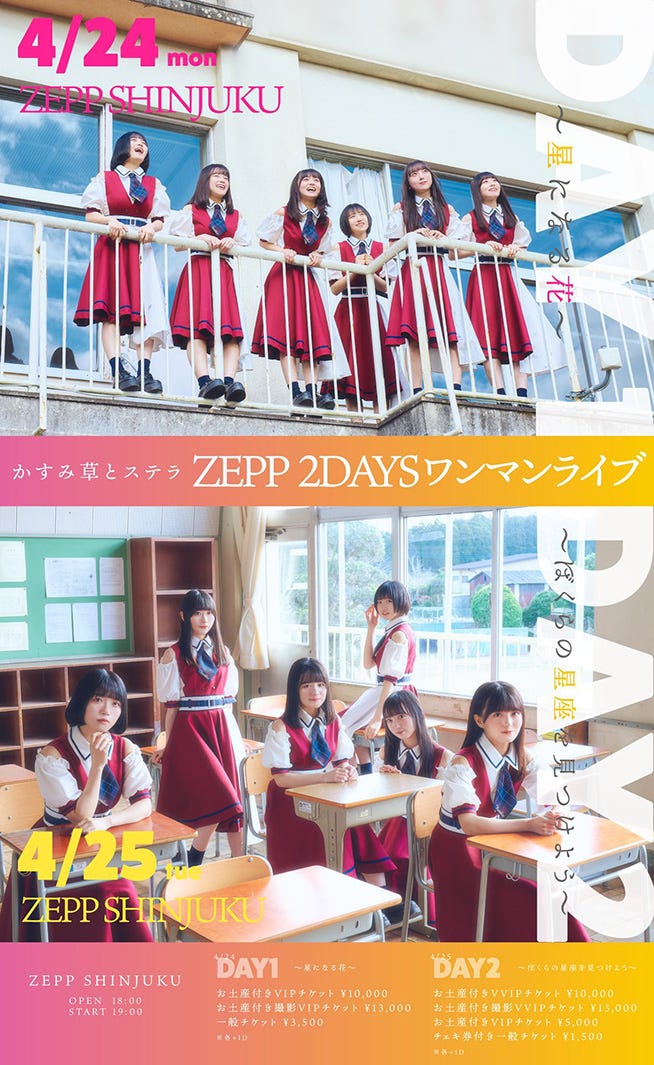 かすみ草とステラ(提供写真)