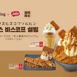 ロータスビスコフソルビン/画像提供:SULBING PR事務局