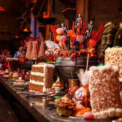 スタジオツアーロンドン DARK ARTSより/Warner Bros. Studio Tour London – The Making of Harry Potter.