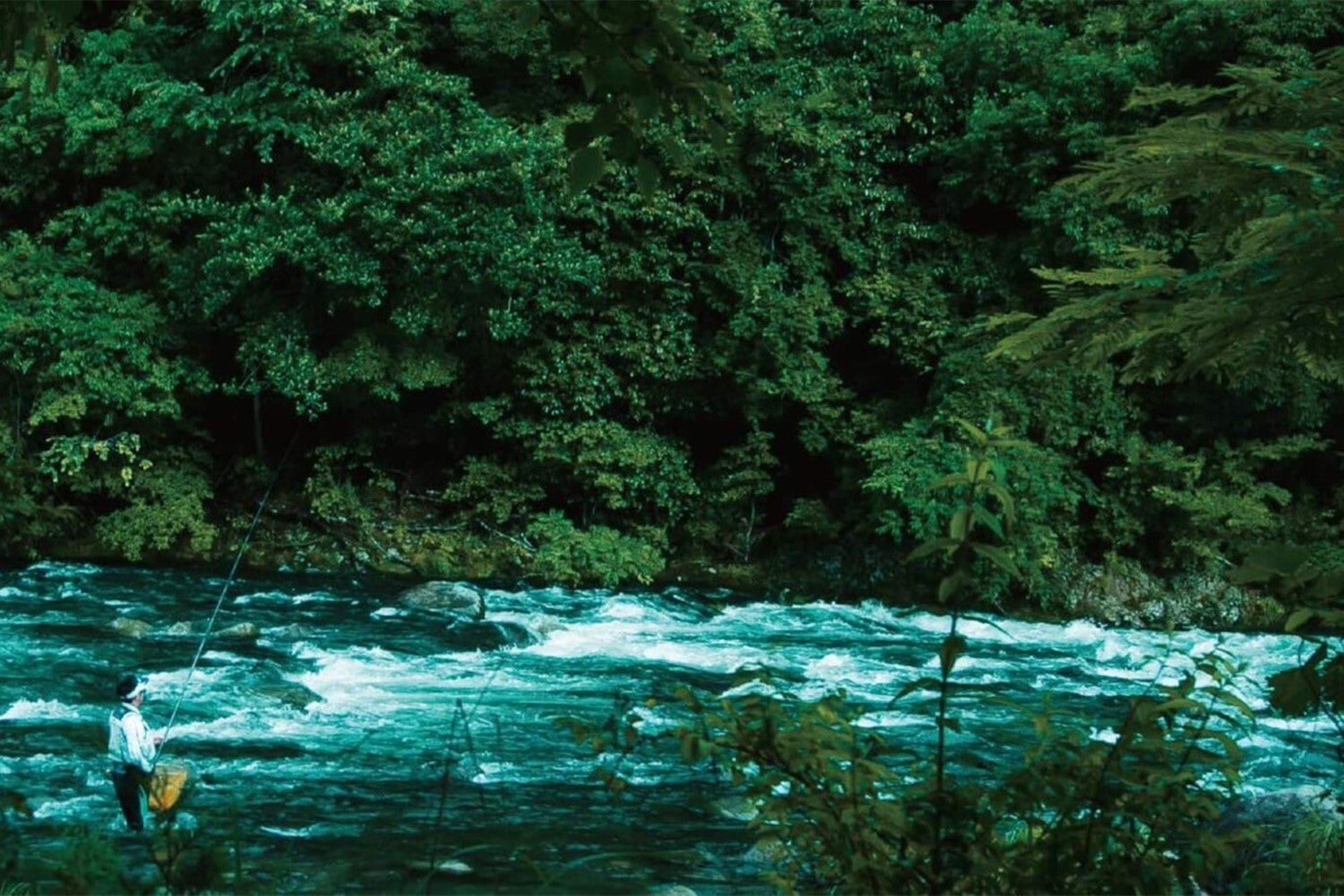 静岡・伊豆にリバーサイドグランピング「グランイン」自然に触れ温泉で癒しのひととき