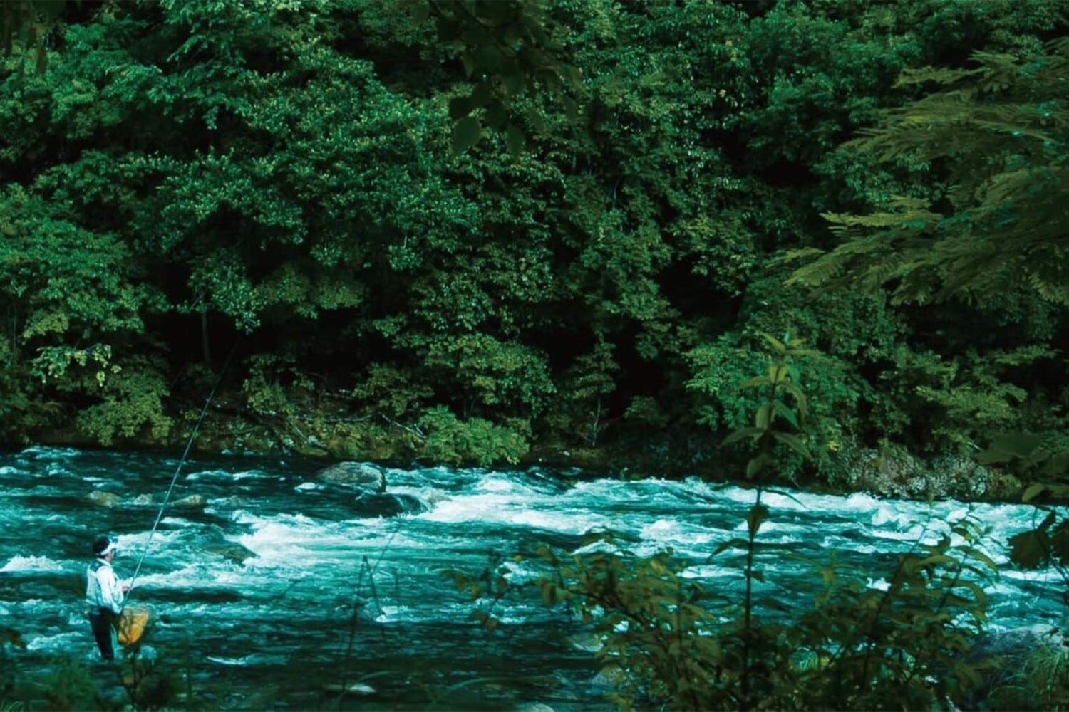 静岡・伊豆にリバーサイドグランピング「グランイン」自然に触れ温泉で癒しのひととき