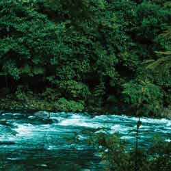 ~中伊豆フィッシングリゾート~Gran In/提供画像