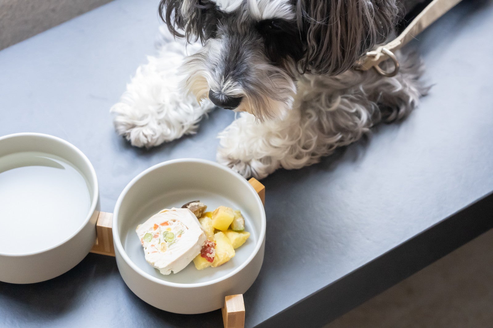 hotel anddoggy京都二条／提供画像