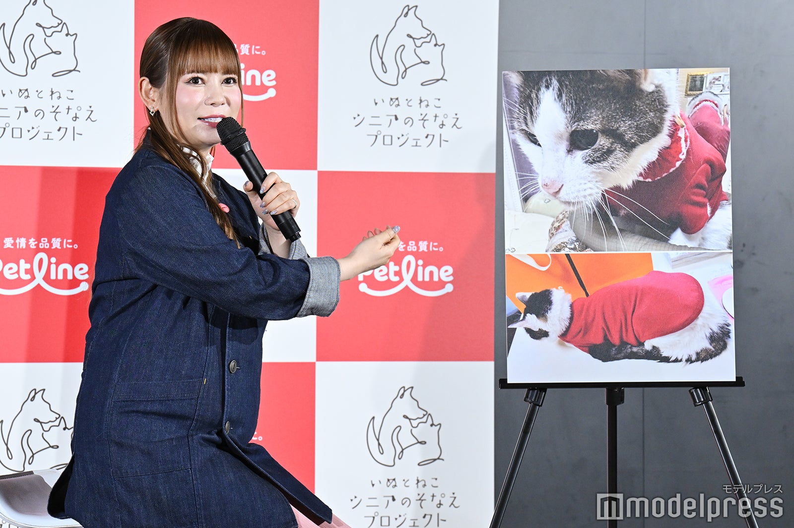 中川翔子（C）モデルプレス