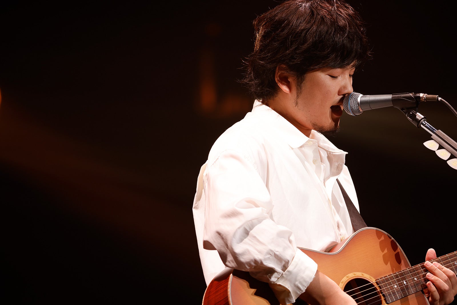 秦基博／撮影：Tsukasa Miyoshi（Showcase）（提供写真）